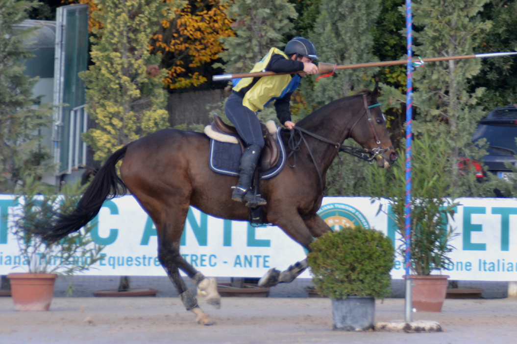 Culatore wins at the Arezzo Equestrian Centre. 1 Monta da lavoro Alessandro Culatore su Siella 1