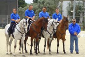 Monta da Lavoro. Formata la squadra azzurra per il Campionato Europeo di Città di Castello (PG). 1 Monta da lavoro europeo 2009