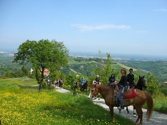A cavallo: Orizzonti infiniti 1 Montagnana 015Rid