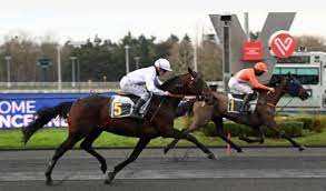 Vincennes. Zarenne Fas ci riprova nel Prix de L'Ile-de-France 1 Montato