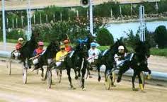 A Montegiorgio c'è Moro Bon che vuole il pronostico. Nella tris speranze per Madison Square 1 Montegiorgio 1