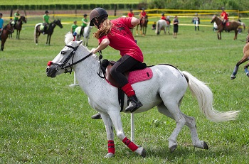 Mounted Games 2