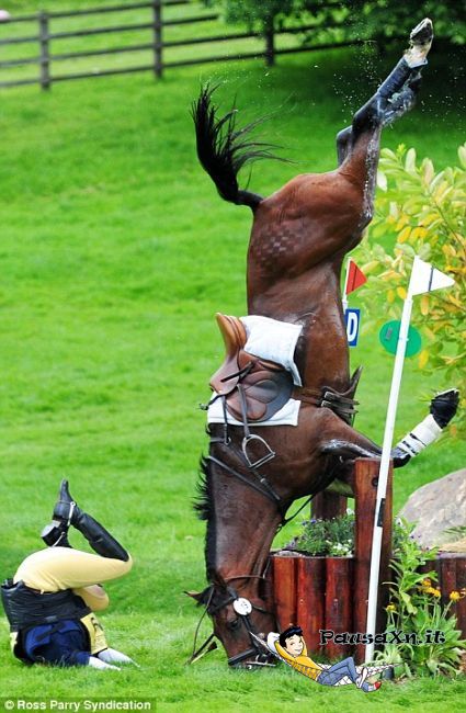 Cavallo e cavaliere, muso a terra 1 Muso a terra