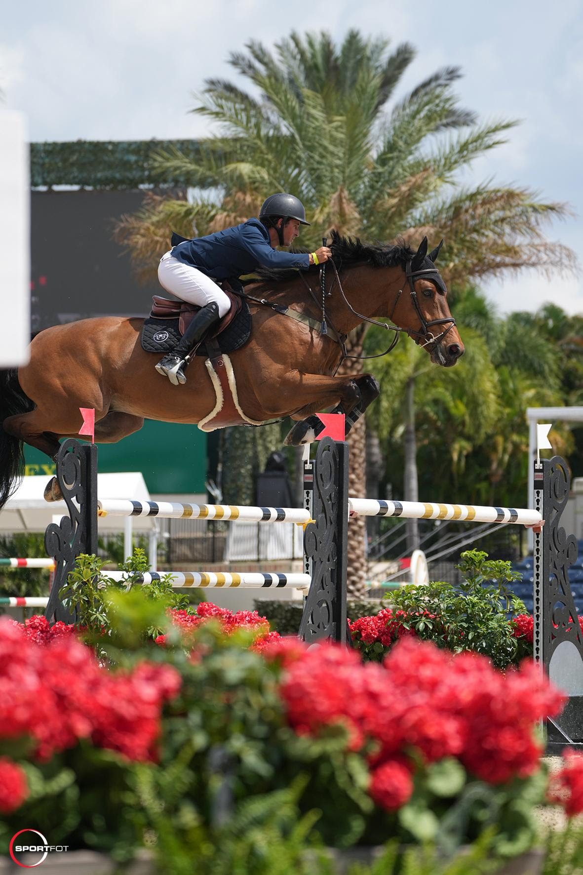 CSI4* Wellington: Nick Dello Joio vince l'Adequan® WEF Challenge Cup Round X 1 Nick Dello Joio AND Cornets Cambridge © Sportfot