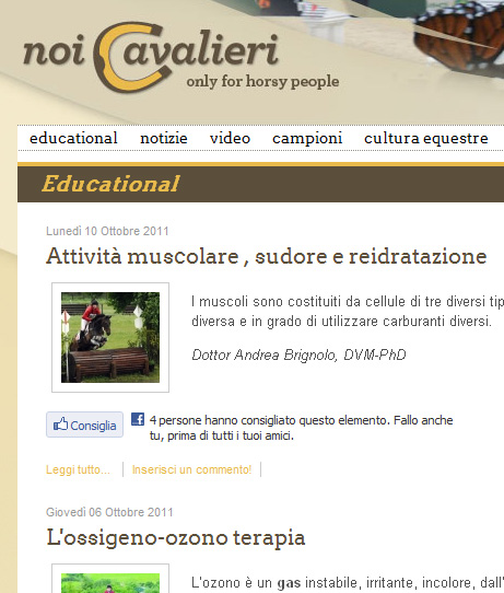 Noicavalieri