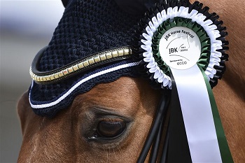 CSIO3* Odense: international talents on display. 1 Odense 0