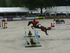 Campionati Europei YRJ di Hoofddorp (Olanda) : Medaglia di Bronzo alla squadra rosa Young Riders. 1 Olanda