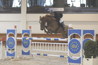 Ossa