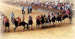 Palio di Siena 1