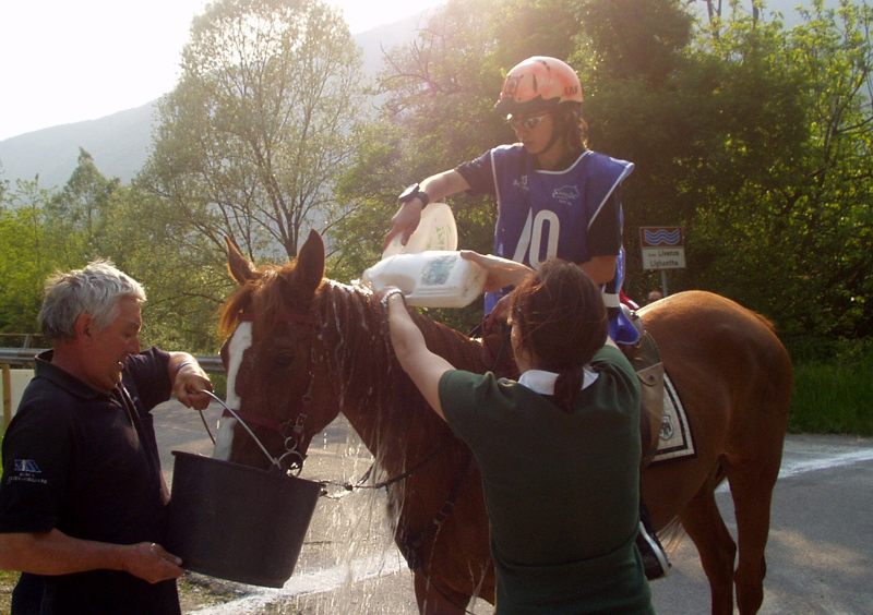Endurance: alla francese Cecile Miletto Mosti su Izba du Caussanel la classica 100 + 100 di Montcuq 1 Patrizia Giacchero assistita da Arnaldo Torre