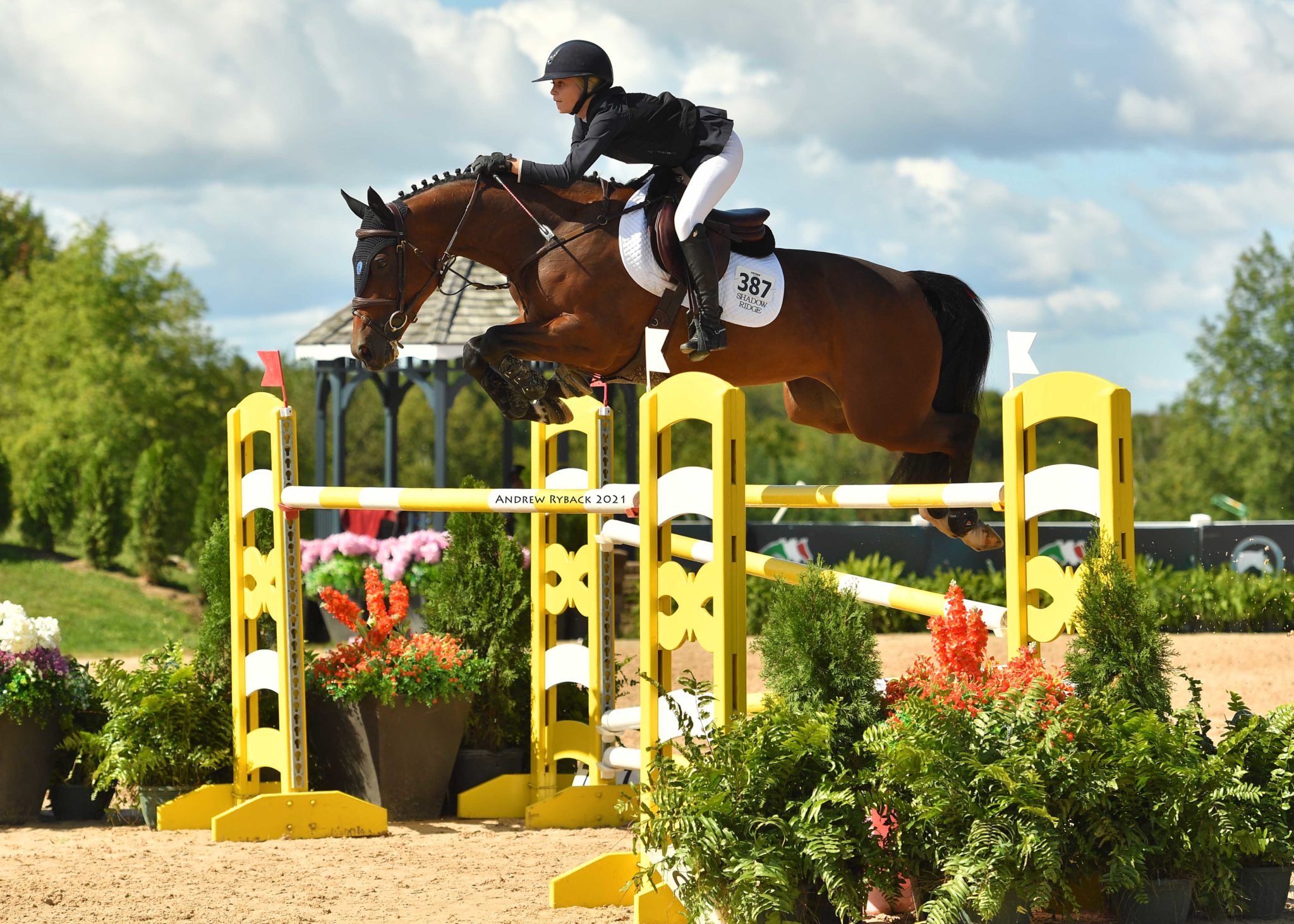Grace Debney e Boheme de la Roque vincono la Malvern Bank da 1,45m nel CSI3* al Silver Oak Jumper Tournament 1 Ph c Andrew Ryback Photography TRAVERSE CITY 0