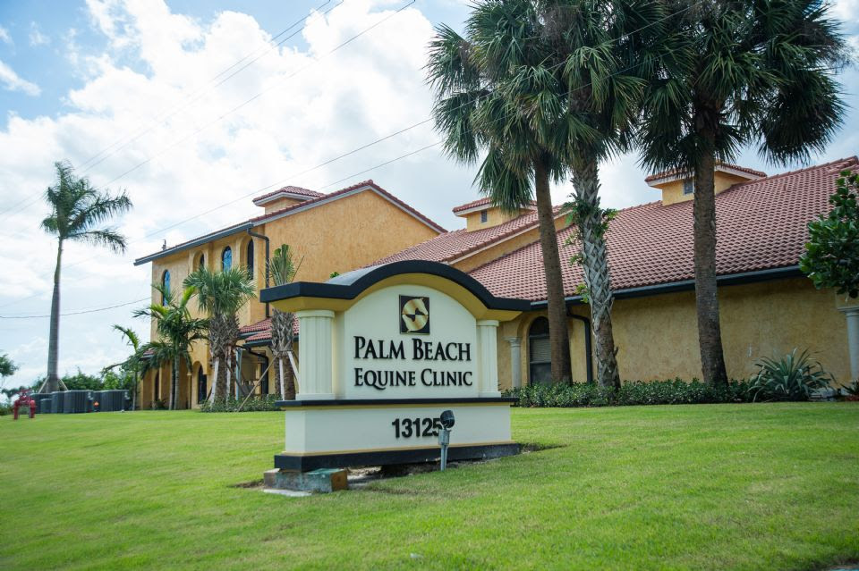 La Palm Beach Equine Clinic fornirà assistenza veterinaria al WEF e all'AGDF nel 2022 1 Photo by Erin Gilmore Photography 0