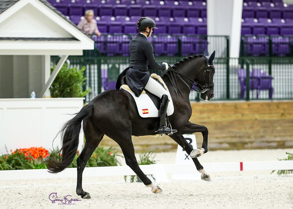 Pablo Gomez Molina and Servus Ymas Score Freestyle Win at World Equestrian Center Dressage IV 1 Photo by SusanJStickle.com c WEC Pablo Gomez Molina and Servus Ymas