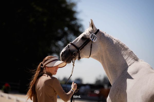 Competition Heats Up at Summer Fort Classic CSI3* 5 Photo ©tbird Quinn Saunders Uma ONeill