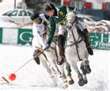 Polo 4