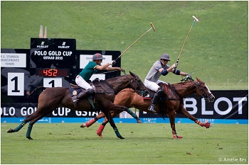 Polo Gold Cup Basse Resolution 4 1