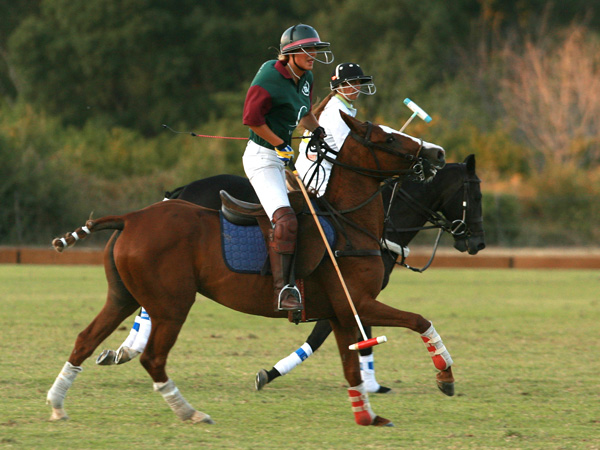 Polo Marchiorello Annunziata 1
