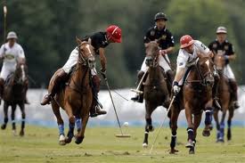 Polo gioco 2