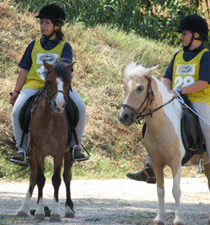 Poniadi2009 1