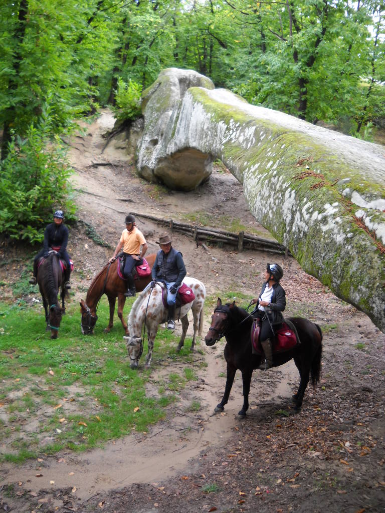 Solidarietà a cavallo per l’Emilia 1 Ponte dErcole