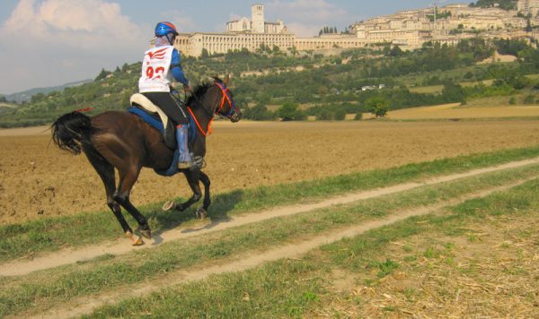 Ponton Assisi va al traguardo