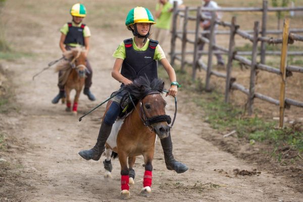 Pony Fitetrec