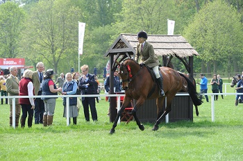 RWHS16kh 0065