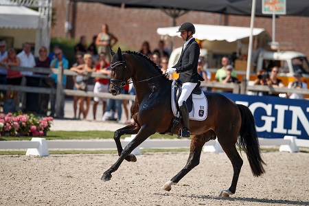 Revolution 5yrs World Champion 2018 by Hippofoto Dirk Caremans