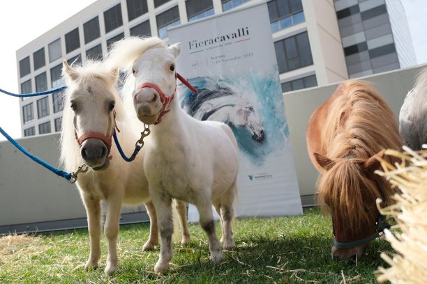 FIERACAVALLI 2019, CON RIDING THE BLUE “IL CAVALLO GIOVA ALL’AUTISMO” 1 Riding the blue fieracavalli 2019