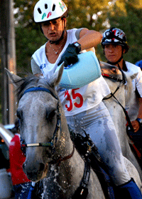 Di Marco triumphs in 4th stage of Abrruzzo Exclusive Saddlery endurance 1 Rosalinda Di Marco Prozac 1