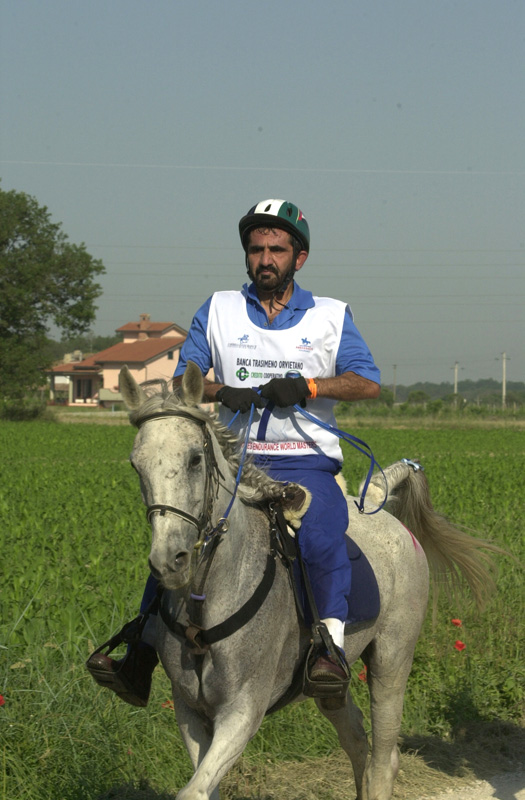 Allo Shk. Mohamemd bin Rashid al Maktoum la prestigiosa 120 km di endurance all’Euston Park di Newmarket 1 SHEICCO Padre MHD 5