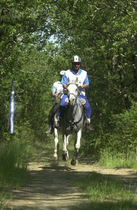 Mohammed wins British Endurance 1 SH MHD 1 1