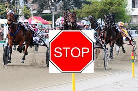 STOP IPPICA