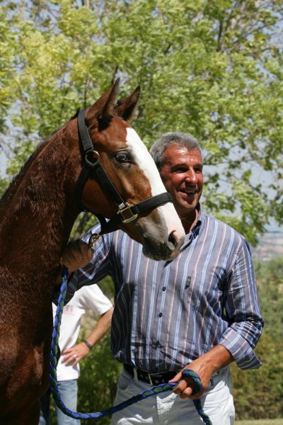 Salvatore Bagni cavallo
