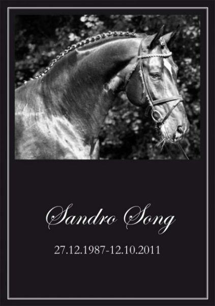 Sandro Song