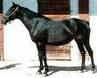 Sanfratellano