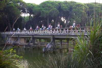 Pisa mondiale con il Longines FEI Endurance World Championship 2021 5 Sanrossore ponte foto FISE