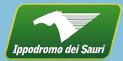 Sauri