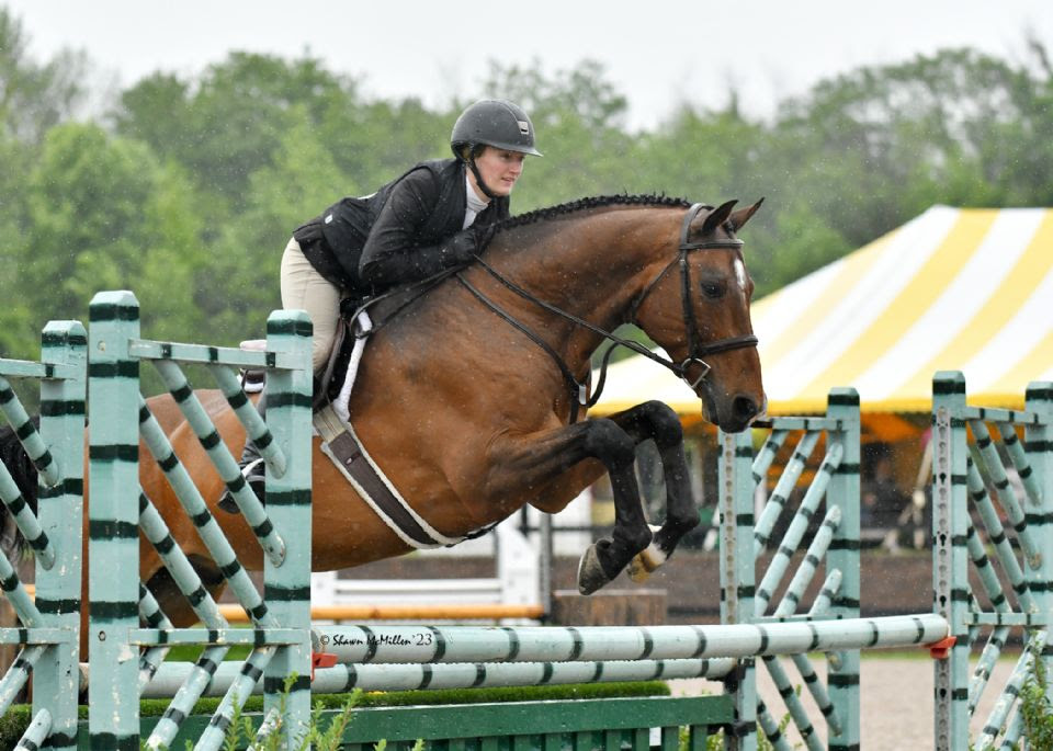 Sydney Smith and Antidote Score at Saratoga Classic II 1 Photo by Shawn McMillen Photography - Sydney Smith and Antidote earned the Grand Amateur-Owner Hunter 3'6" Champion title.