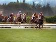 LXX Gran Premio Merano Forst. Replay di Sharstar? 1 Siepi