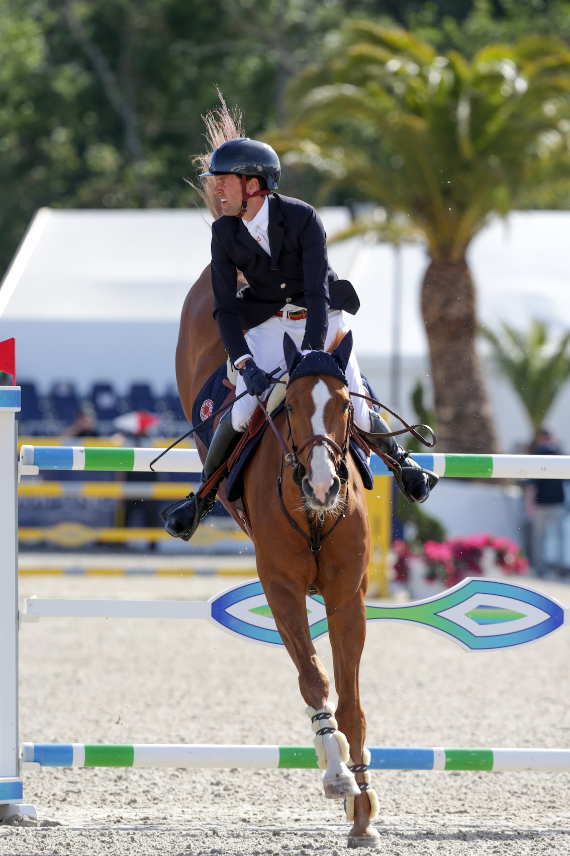Simon Delestre e Chesall Zimequest al top nell'Hubside Jumping di Grimaud 1 Simon Delestre Filippo Gabutti Hubside Jumping
