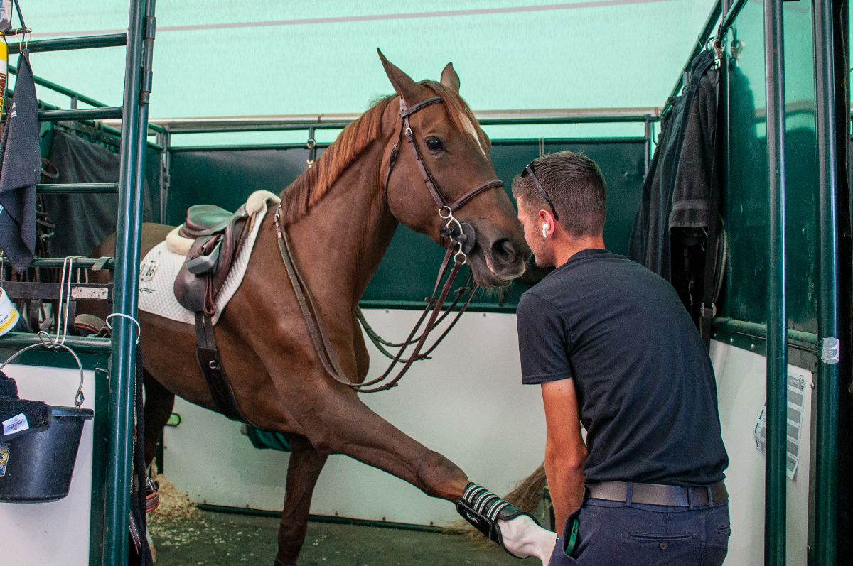 The Spruce Meadows 'Continental' CSI5*/2*, presented by Rolex Starts Tomorrow 1 Spruce Meadows Media Ashley Jimenez
