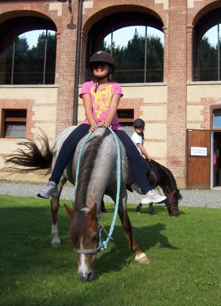 Summer Pony 2
