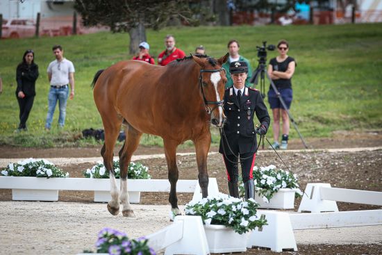 Susanna Bordone e Imperial oggi alla vet inspection ph. Massimo Argenziano