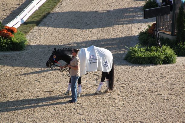 Dressage: addio al grande Totilas 1 TOTILAS 2 BC. 0