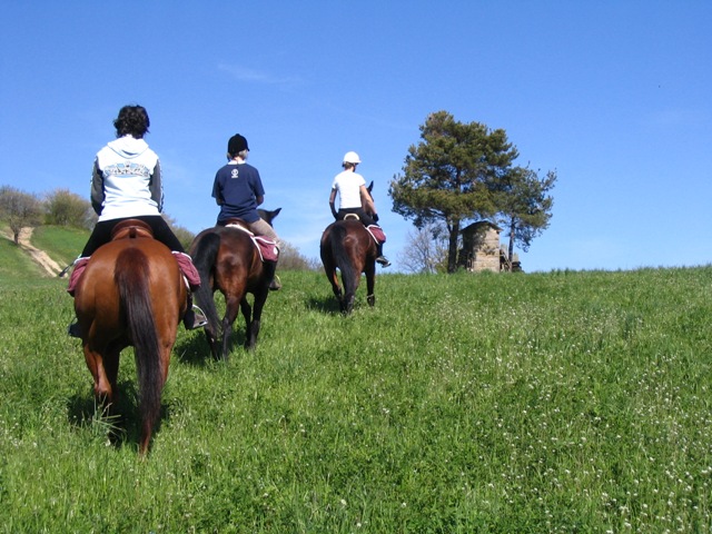I Crinali del modenese 1 TURISMO EQUESTRE