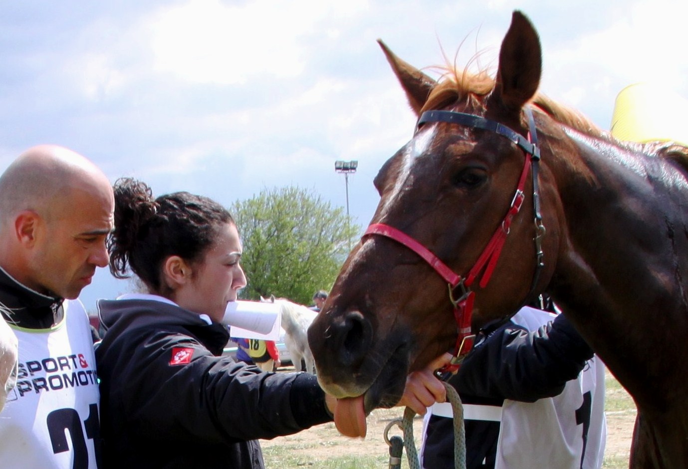 Endurance: a giugno la riviera e il parco del Conero protagonisti di sport, economia, lifestyle 1 Tavassoli laliscia 542 0