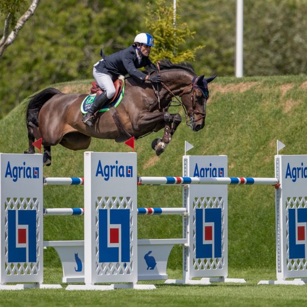 Whitaker and Ribas share Agria Derby Trial honours 2 The Agria Derby Trial Carlos Ribas Trix BH