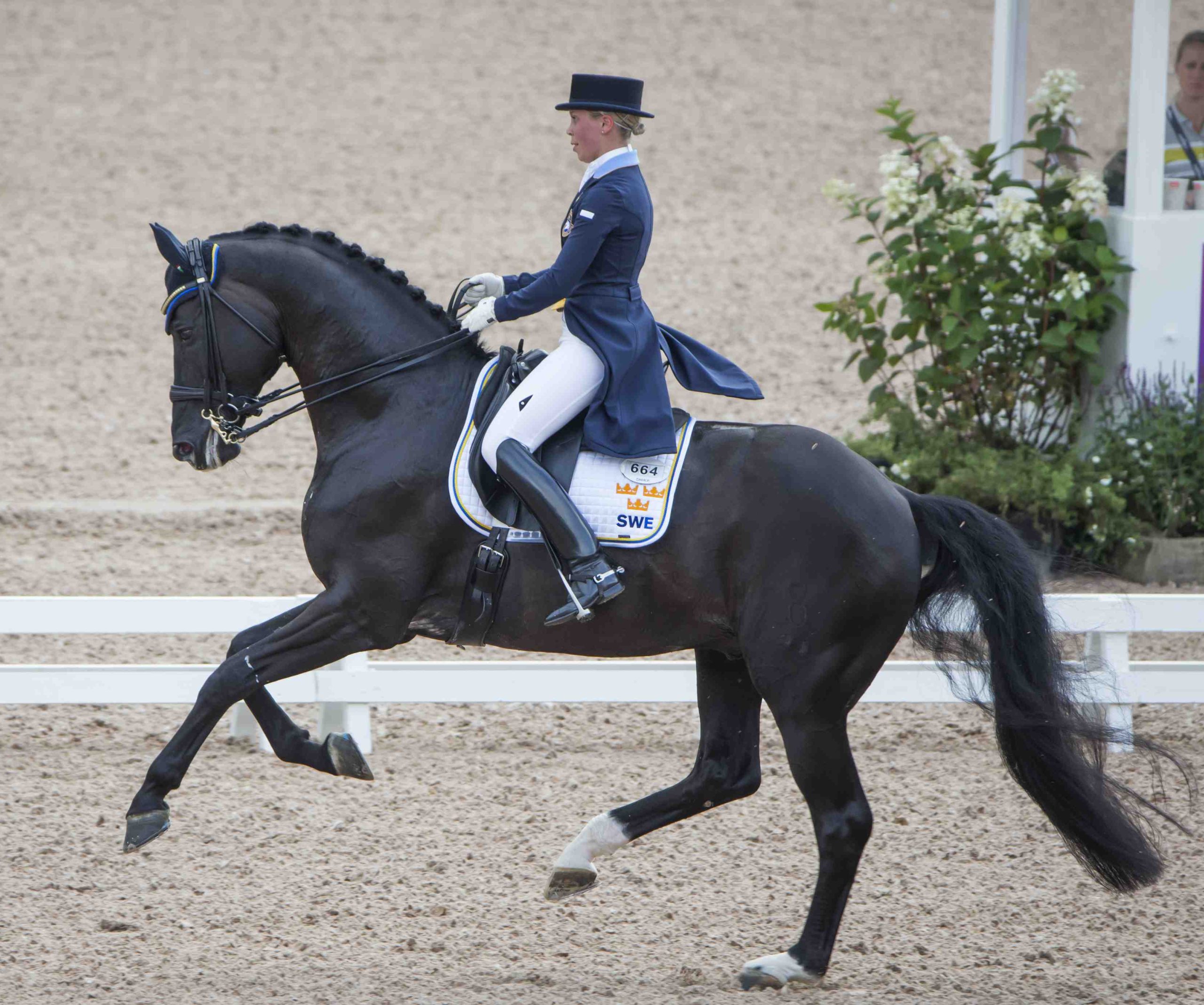 Therese Nilshagen Dante Weltino2 lagis scaled