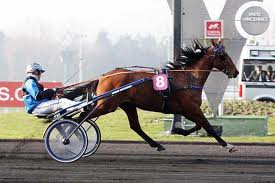 Timoko